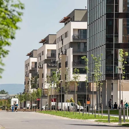 4friendscoresibrasov T * Brassó