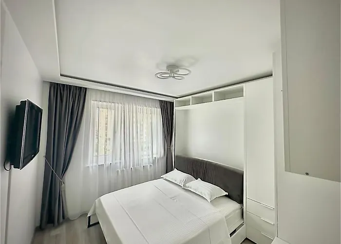 4friendscoresibrasov T Brasov