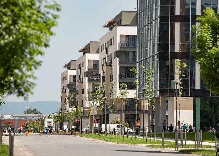 4friendscoresibrasov T * Brasov