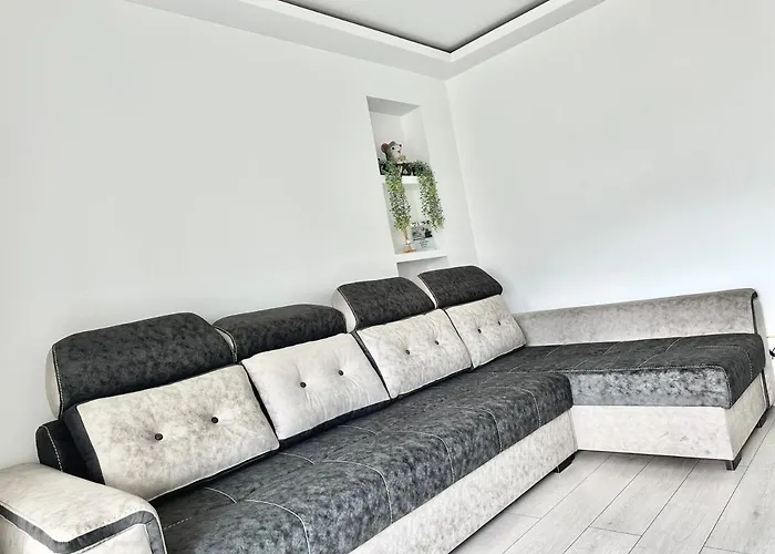 4friendscoresibrasov T Brasov